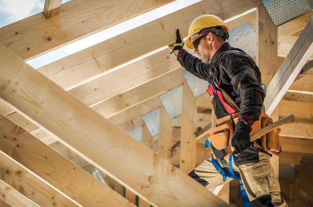 Best Roof Gutter Cleaning  in Le Roy, IL
