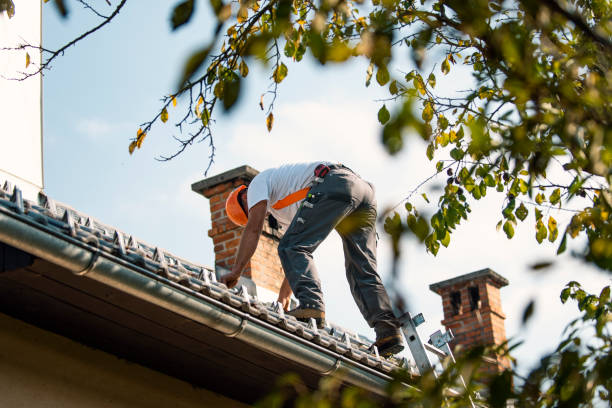 Best Roof Replacement Cost  in Le Roy, IL