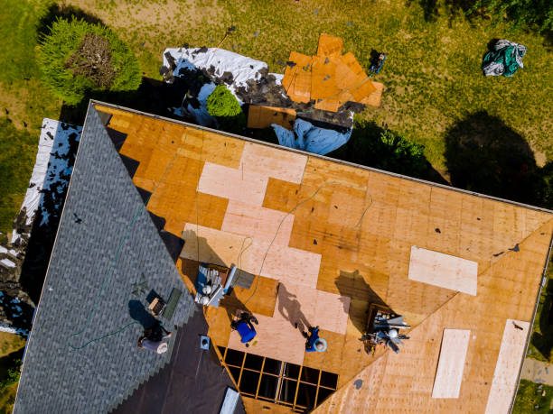 Best Residential Roofing Contractor  in Le Roy, IL