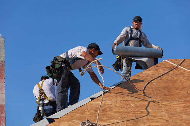 Best Roof Maintenance Services  in Le Roy, IL