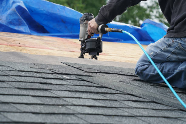 Best Gutter Installation and Roofing  in Le Roy, IL