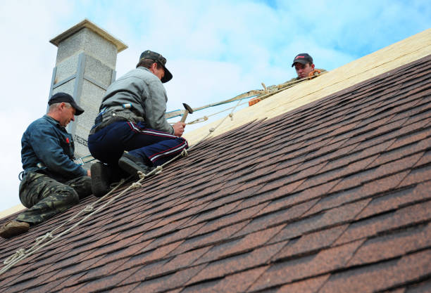 Trusted Le Roy, IL Roofing Contractor Experts